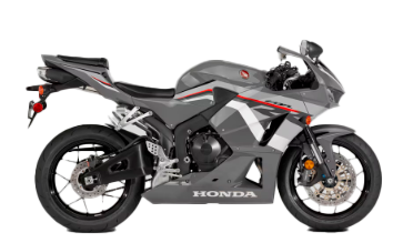 Model Image
